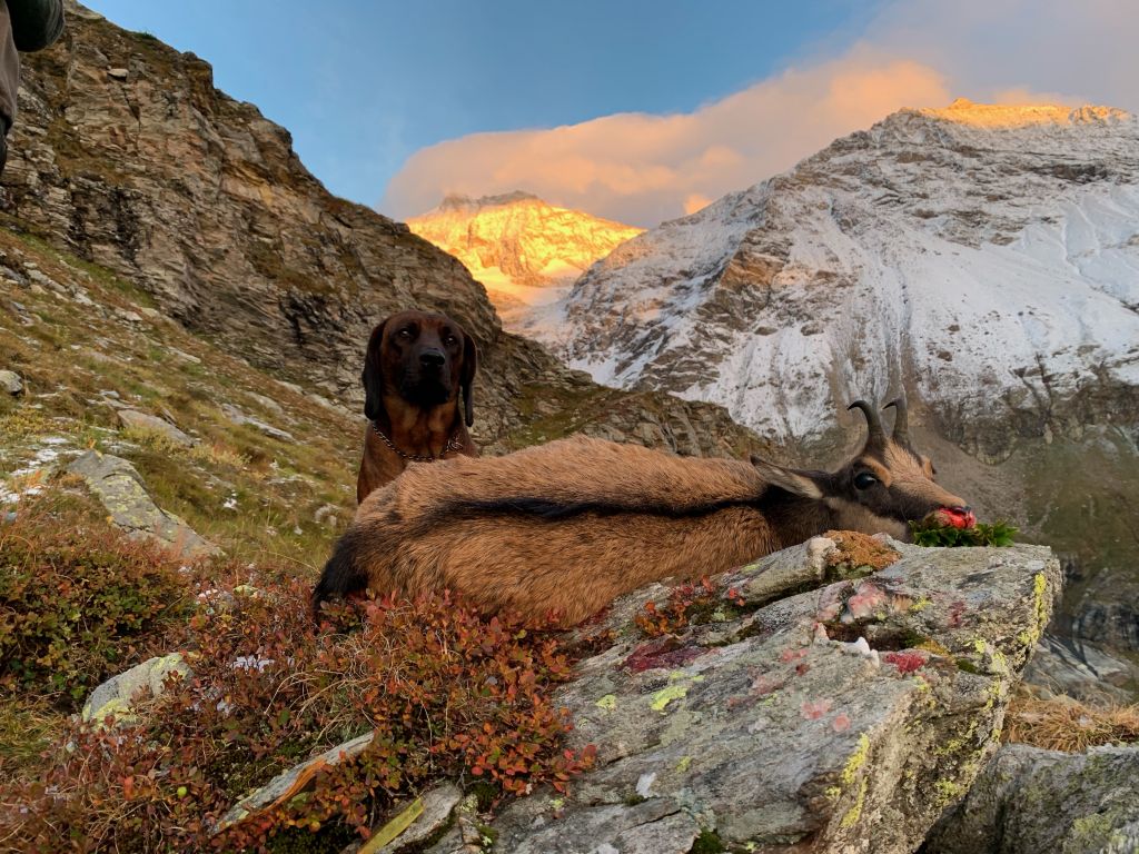 Selina_Crameri_image0.jpeg Res 4461 B05a88ebdc8c821d43456d90e26cc453