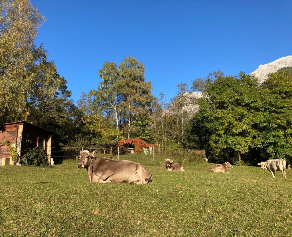 FabioSciuchetti05.jpg Res 4461 Be0a9406b9ba9eb8e69ed4314d81bfc2