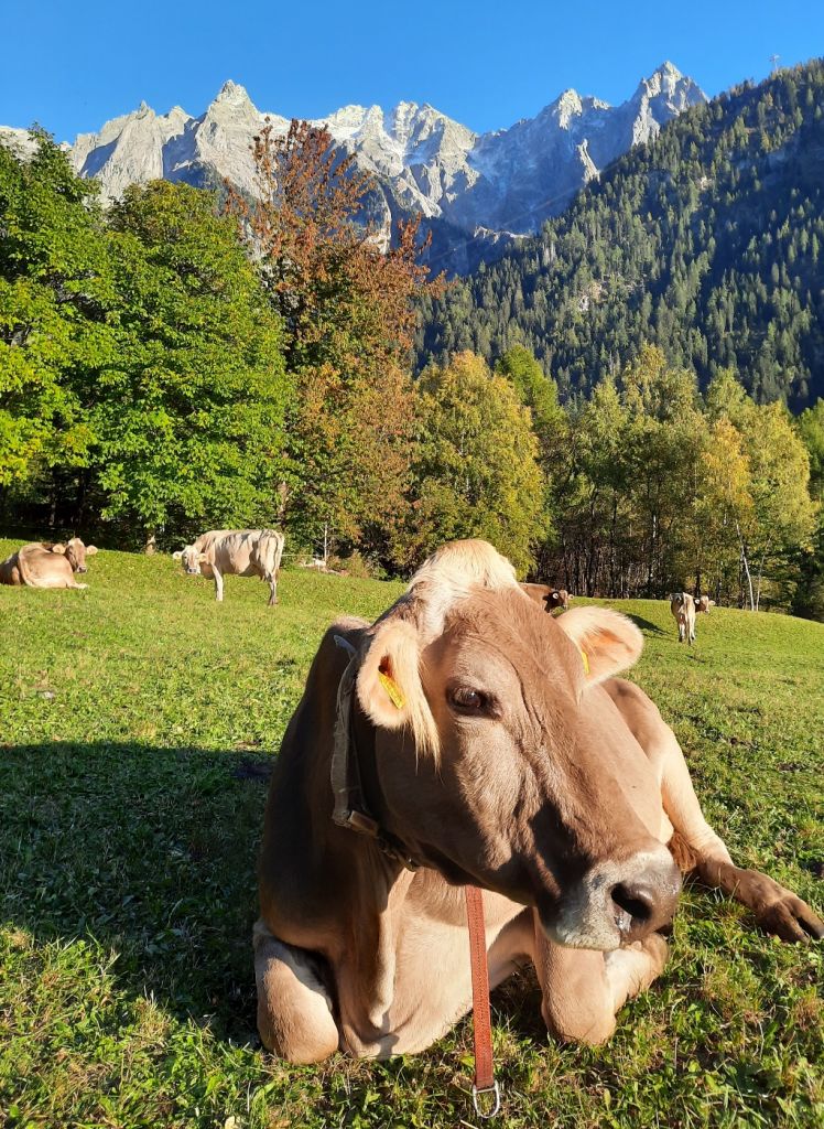 FabioSciuchetti08.jpg Res 4461 C5e4493891f208e097c5e49bf582af0d