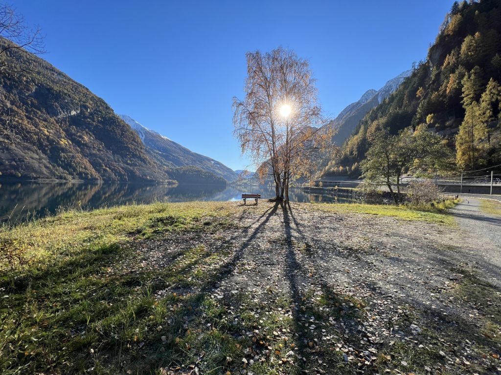 Gabriela-Menghini_6650.jpg Res 4461 Cde8f4f4eda39928fb65e3d7d3654a26