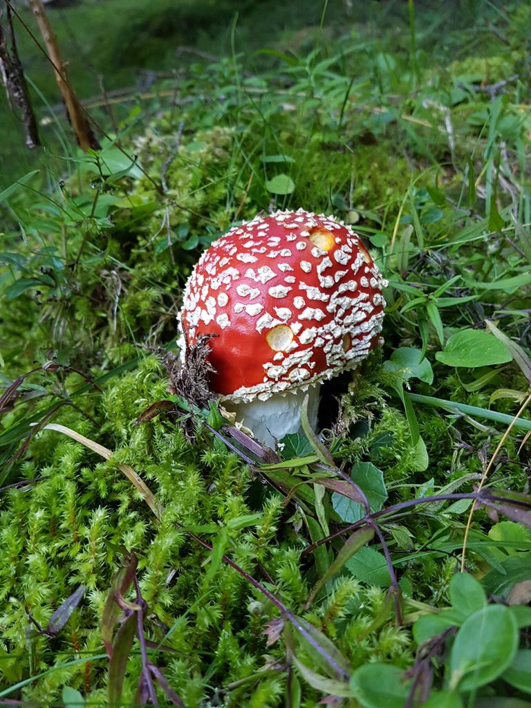 Vincenza-Demonti_20210905_185534.jpg Res 4461 D269df0b98eb76b13534258a5c43f4cc