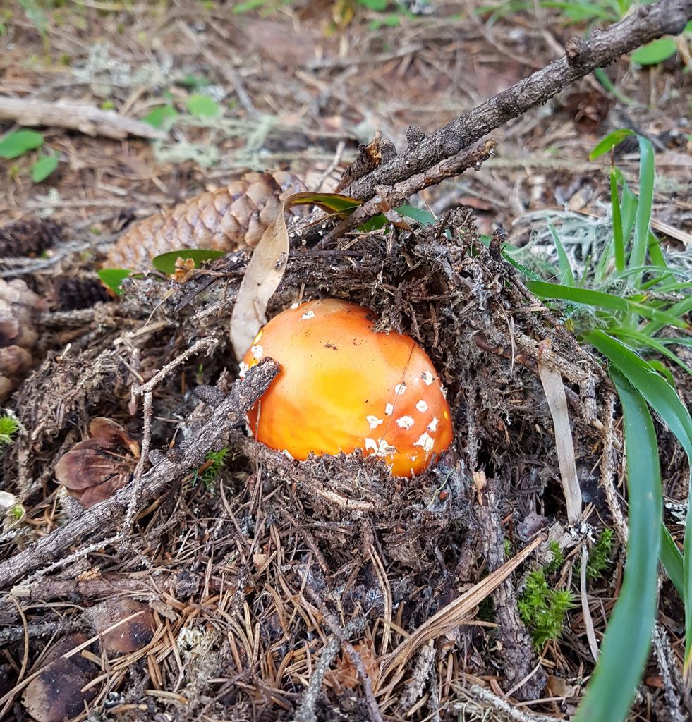 Vincenza-Demonti_20210908_071158.jpg Res 4461 D8b7efdaed5e3419d37270cb965f910b