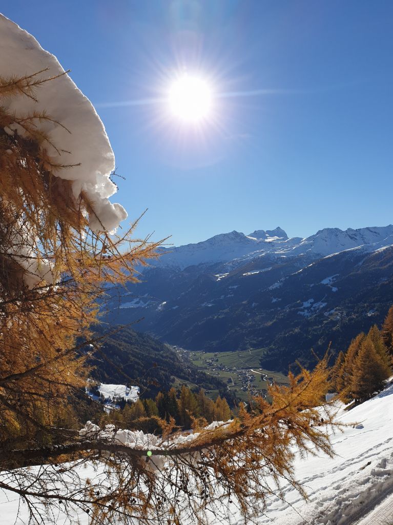 Miriam_Crameri_20211106_173641.jpg Res 4461 D9afd92c5e4b1a407da067083868dd41