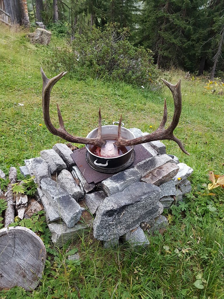 Vincenza-Demonti_20210905_192628.jpg Res 4461 Ec426fc4058f1e577a32589fd27730de