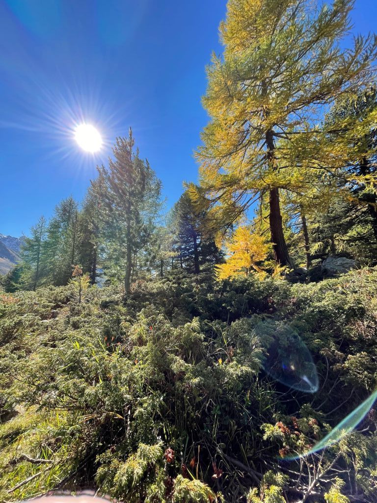 Selina-Crameri2.jpeg Res 4461 F3a069c20f3533302846197f85558ba6