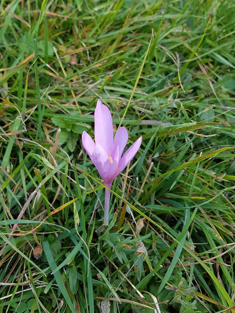 Vincenza-Demonti_20210905_172419.jpg Res 4461 F4a1542a5333df62adc20c99ef60ae24