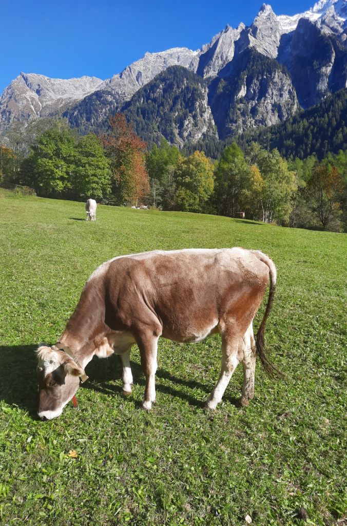 FabioSciuchetti09.jpg Res 4461 F6554d9eccacb5468936f7e5f19d1571