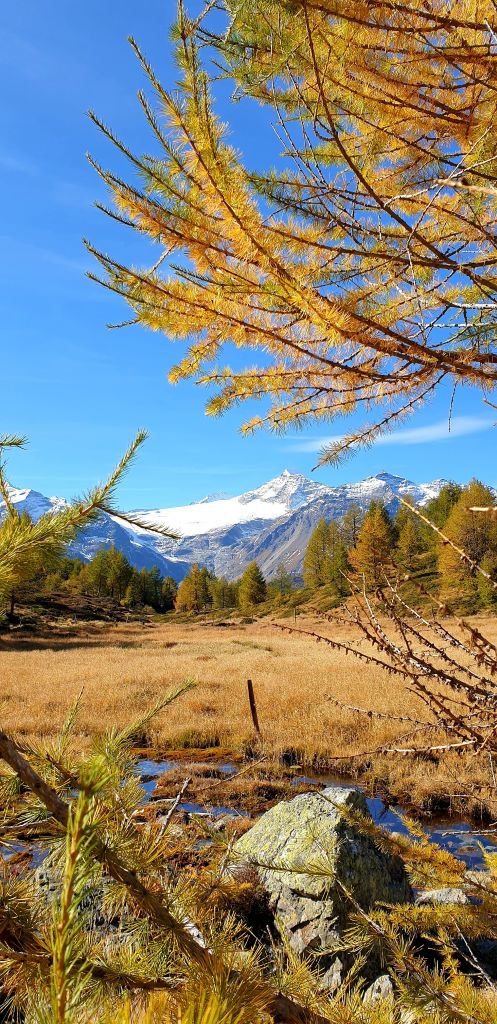 Miriam_Crameri_20211015_191052.jpg Res 4461 Fa40d9580bf6f7f942832f1a1efcecd5