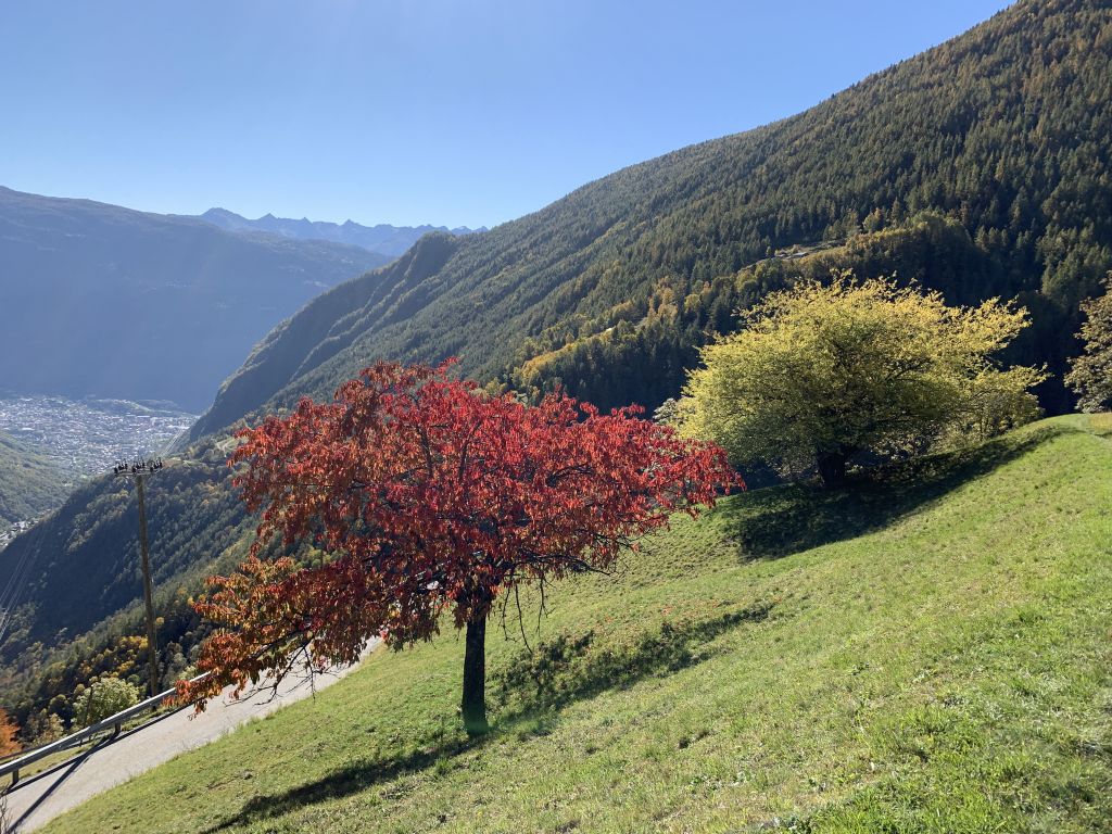 Faifer Davide0.jpeg Res 4461 Faa3fa876f3f43c92221cba72aa49a90