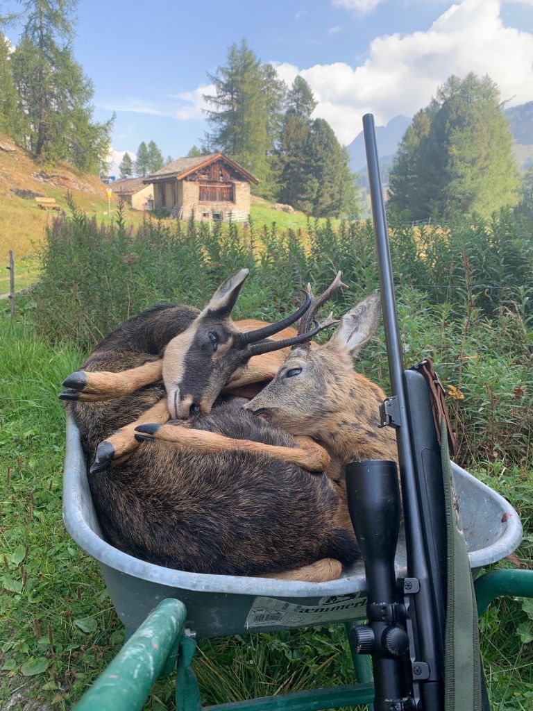 Fini Maurizio_01.jpg Res 4461 Fbea3737687b254ea3fb5fefc7045a8b