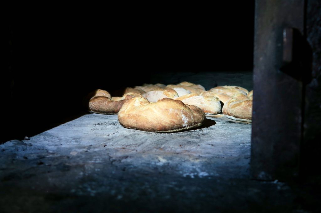 Pane e castagne 2021_8020.jpeg Res 4571 63eb687c2f7f00148b5e5ce591cdd38a