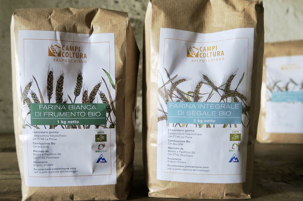 Pane e castagne 2021_7994.jpeg Res 4571 C33c02d9bad4098121cd5d79c42affc6