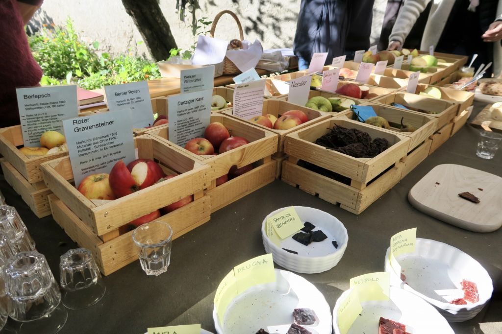 Pane e castagne 2021_8028.jpeg Res 4571 E4bb4ad340cbfa638627ace787ff83fb