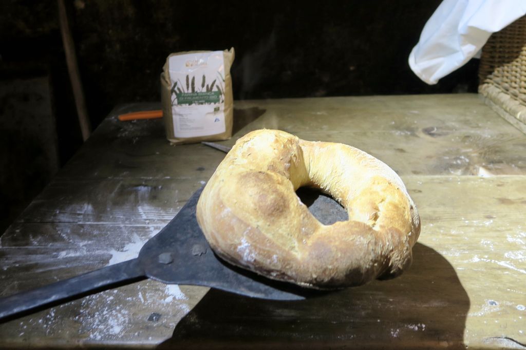 Pane e castagne 2021_8022.jpeg Res 4571 F4a62ebb3ecaaf6b7225470ca5ca6dca