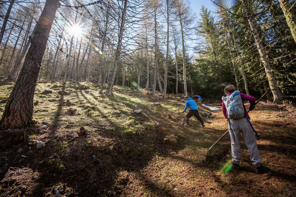 20210525-0945-7814-MSKY.jpg Res 4599 1f1e37d332614eacb19e9c0336380d55