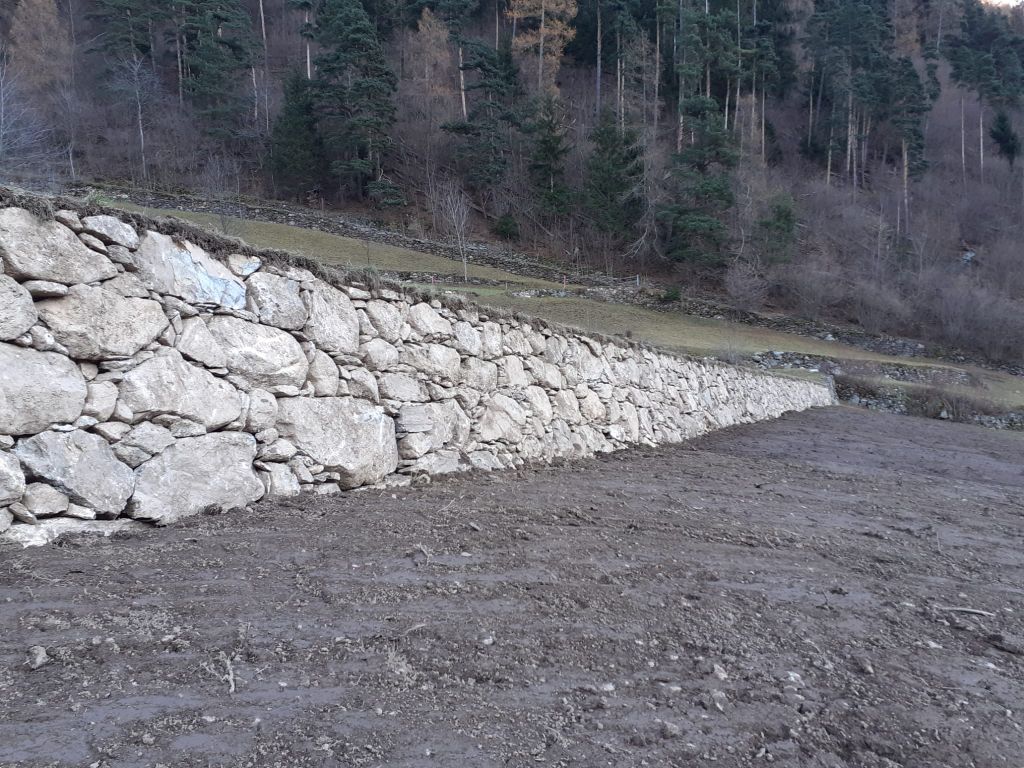 TN02.jpg Res 4814 C0256f1908c20601d574109eae866849