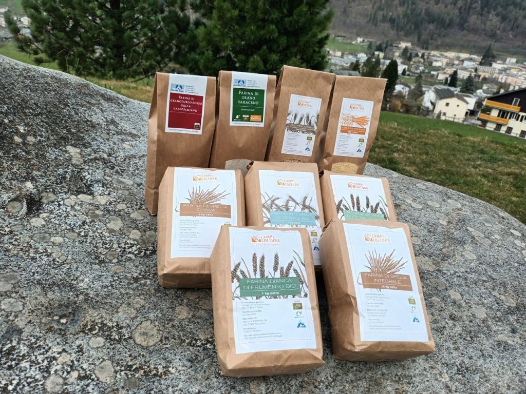 Farine-Campicoltura-2023.jpg Res 5759 0055d285a42272c17be021c00bf3cfbf