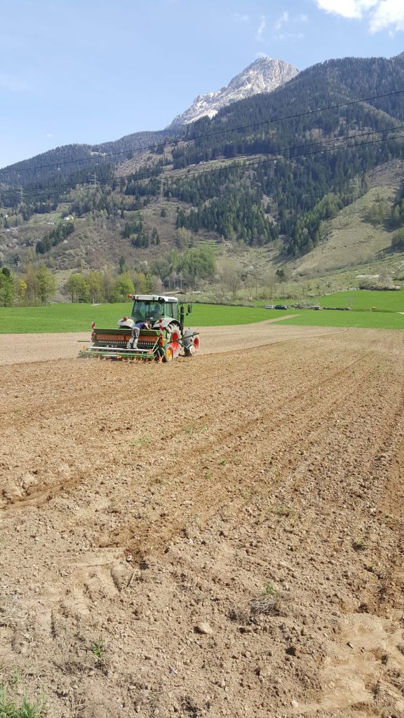 semina.jpg Res 5759 0b91ecc78d4d8527f26493f1db980299