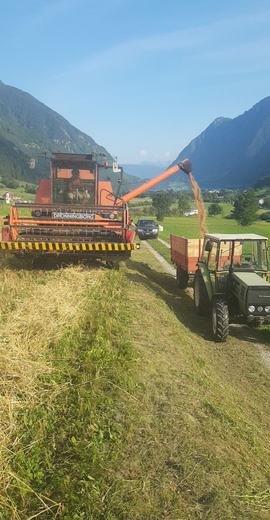 mietitrebbia.jpg Res 5759 53e7a64b345c51bf217979d9b60a511e