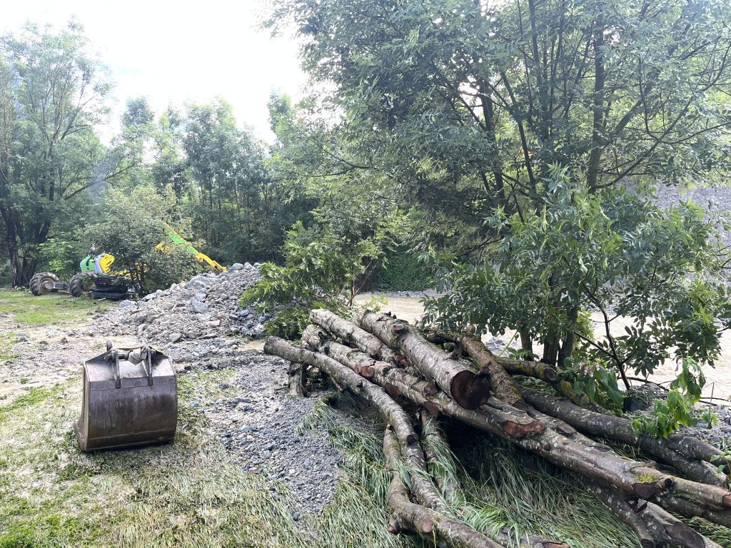 IMG-3613.jpg Res 6001 18aba2fb7ca30ed08e9664c267c347a9