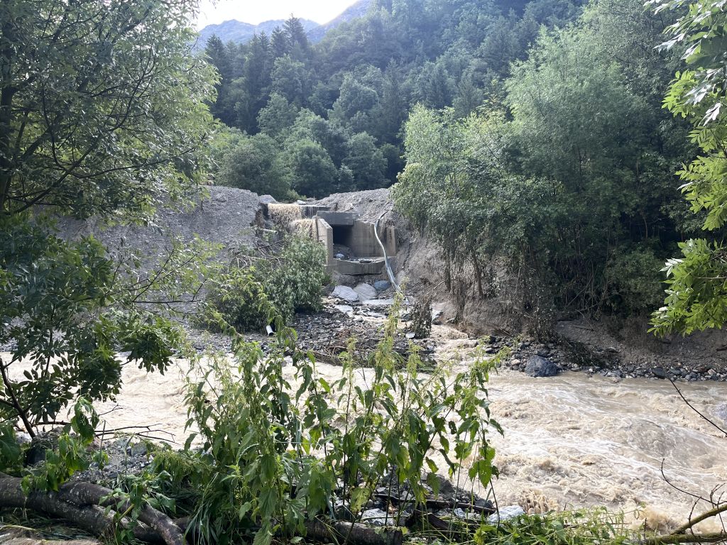 IMG-3612.jpg Res 6001 33eb32189c008d40ae3deef0d6434ff9