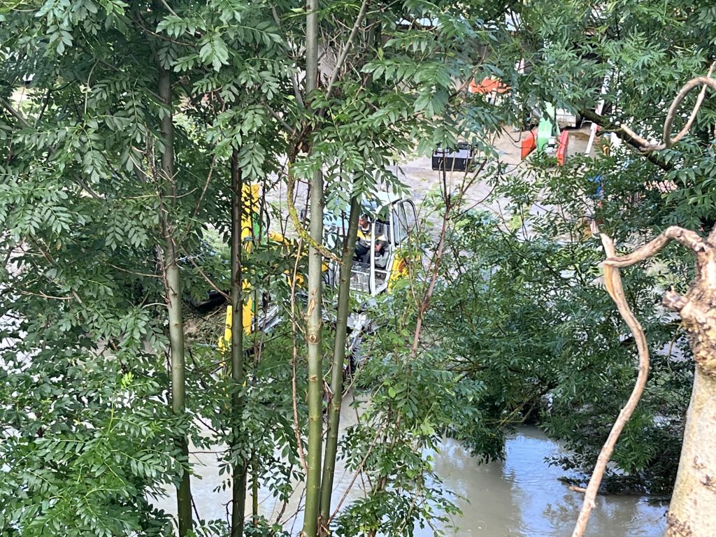 IMG-3603.jpg Res 6001 5f8d863e6d25c27cd43aa60c2e0ed2fa