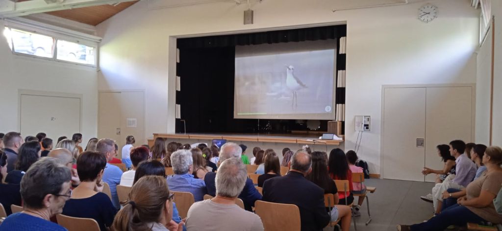 image00021.jpeg Res 6082 4b0a3f4cbd6bb6db037f42d298c2f7e7