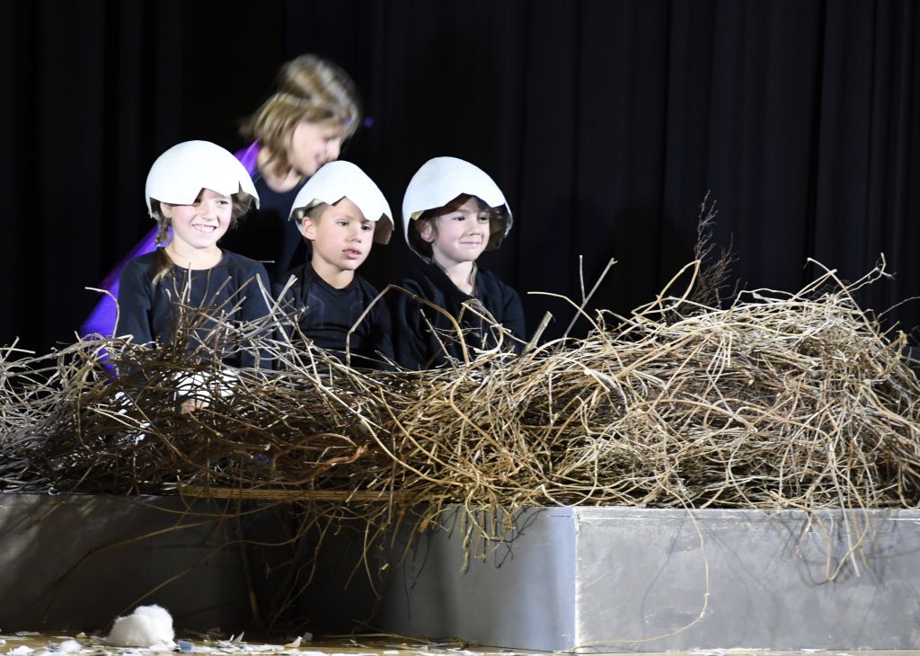 GiornateGRIT_2842.jpeg Res 6103 7efa271cc5dbd40a032200387010864b