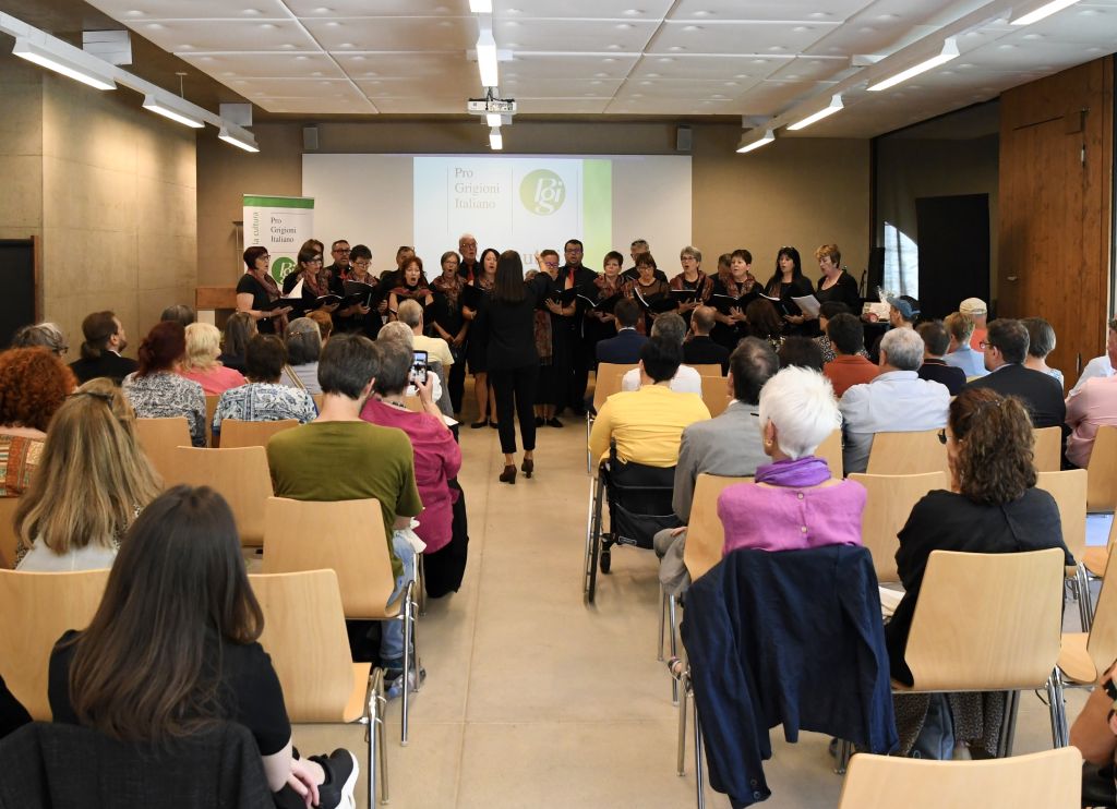 DSC_3010.jpeg Res 6226 0e035e7a557386254e5c7f3eb52fa1ce