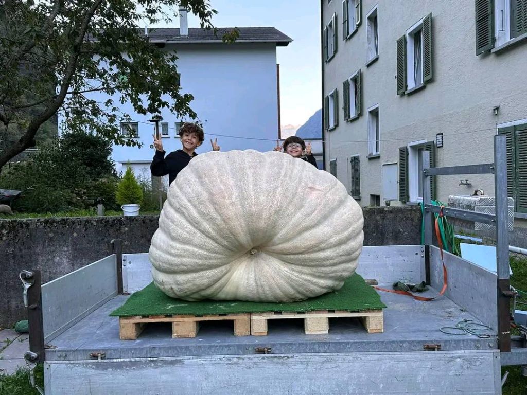 385749310_3734229530235202_2805927917347345804_n.jpg Res 6242 4878fdef95025eb7c37d1703332d147a