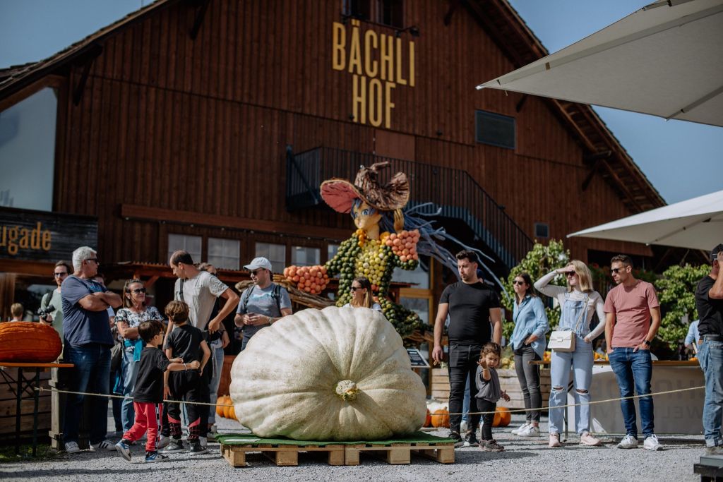 383996143_724855793005998_9144478573456864596_n.jpg Res 6242 54e1f902048acc9b11a76f369ded5951