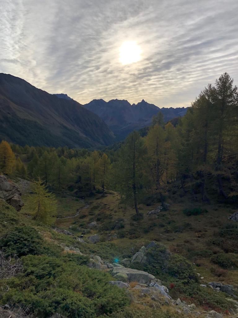 Francesca-Paganini--20231015-WA0002.jpg Res 6272 008181c10e9078af90e75dfb3b63beb4