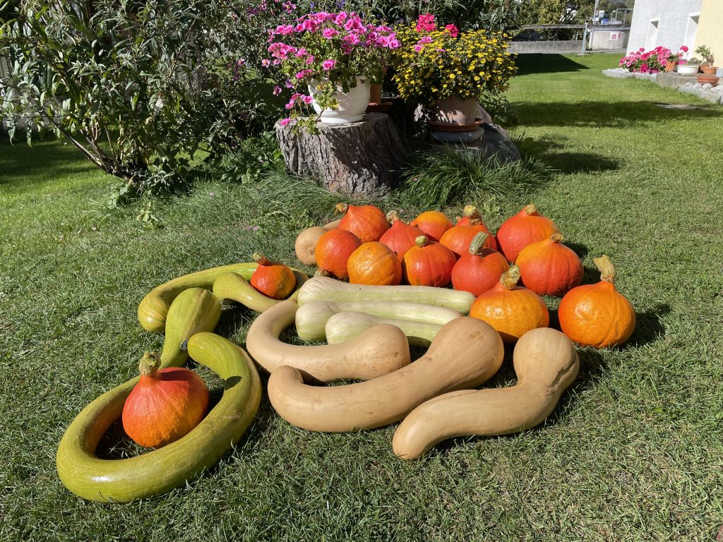 999.brurenagodenzi-IMG_8088.jpg Res 6272 00fceb7ae567b62113bc70513599255b