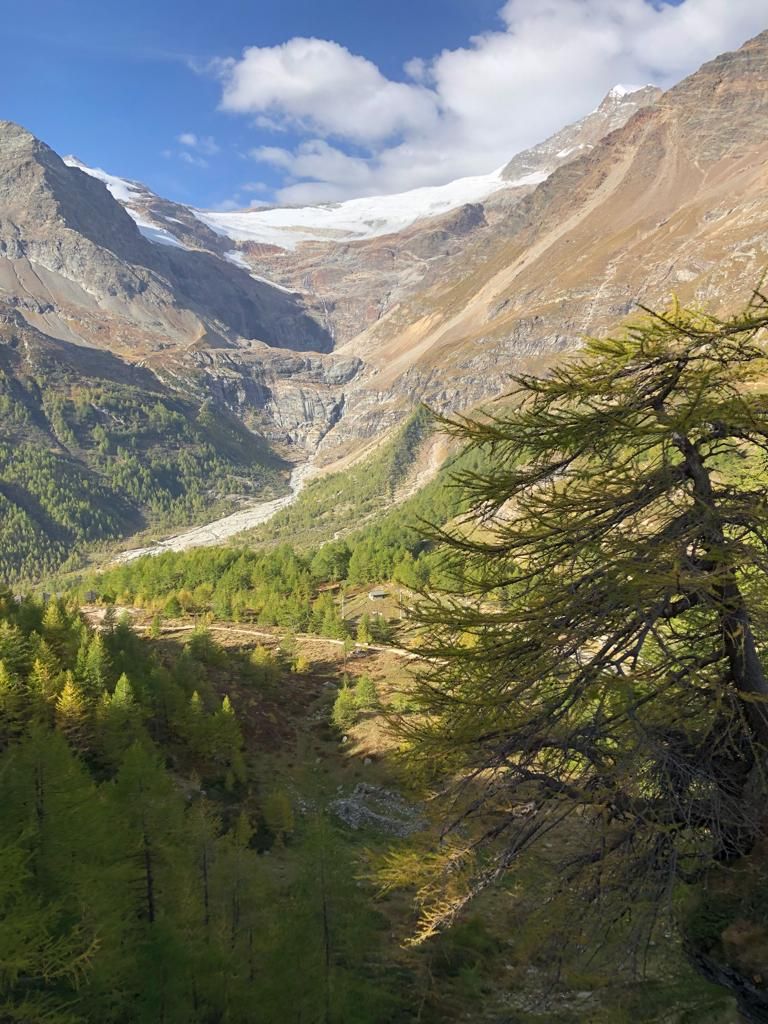 Francesca-Paganin-20231008-WA0001.jpg Res 6272 015c6714ee72dc9deb829edb56162539