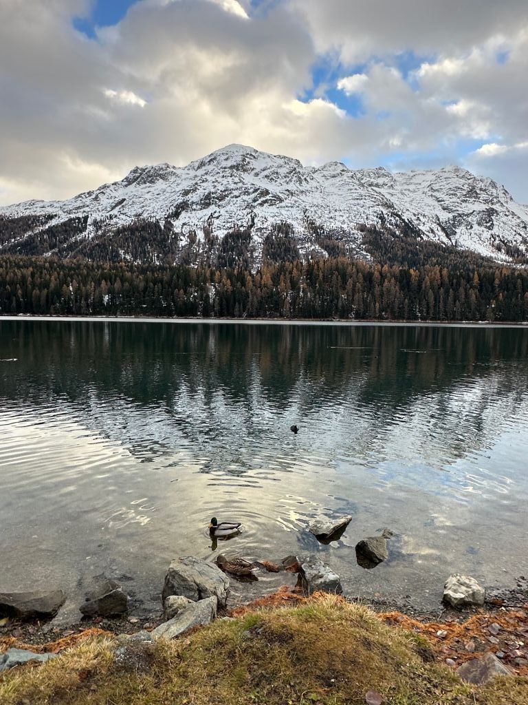 917.soro-menghini-IMG_2070.jpeg Res 6272 0332f6707c9bb987d8798d1df136dc69