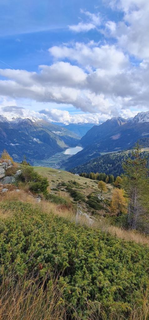 954.lorena-Iseppi-20231022_153654.jpg Res 6272 03627c8704b8f58e2faf5df133051600