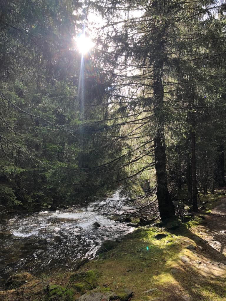 961.francesca-paganini-20231022-WA0005.jpg Res 6272 06b3386d1b11e8becbc13c41b4581685