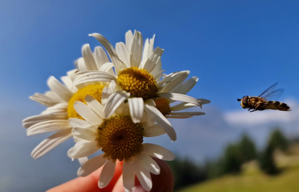 977.Miriam-20231001_115008.jpg Res 6272 0836a84edf1707ca9b232ab4c7547b06