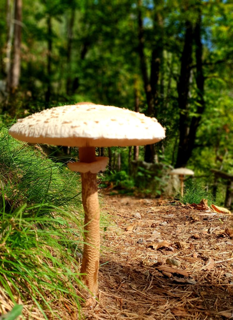 Natalie-VAristo-20230930_113057.jpg Res 6272 08745a7ec463ba0d8d72e3ed04d316b1