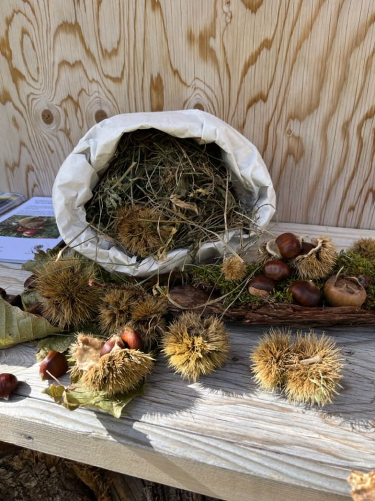 994.corina-petruzio-IMG_0817.jpg Res 6272 0a9cb0a9dad35ff044ebd6301962c9d2