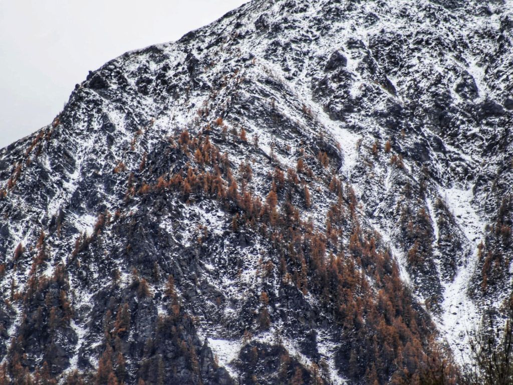 944.GiadaIsepponi-1000034261-01.jpeg Res 6272 0c9386cb81ae1dbb08d2af412313f392