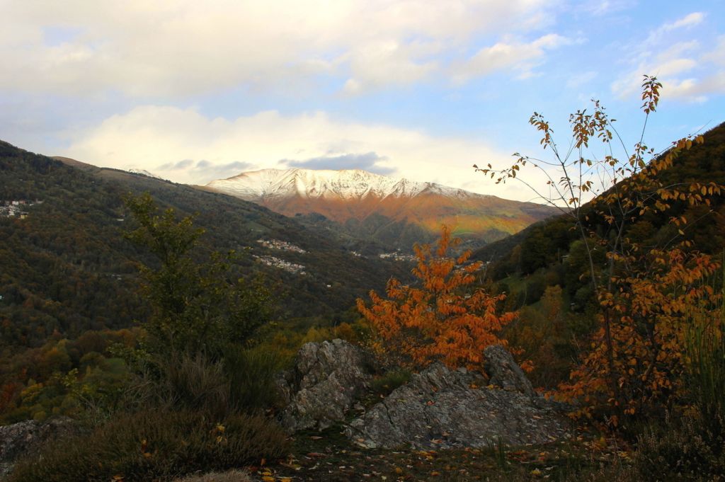 929.Monica-Peduzzi -02.jpg Res 6272 0ec321e787c928374a5b532ace547416