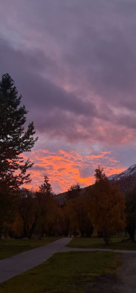 955.lorena-Iseppi-20231023_074026.jpg Res 6272 13dece5198ed8da4a271133d58d1488b