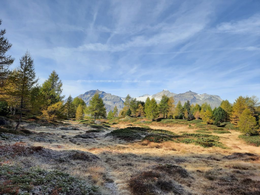 923.marcella-costa-20231017_105021.jpeg Res 6272 19bf774100771904819f0acc6c6b943b