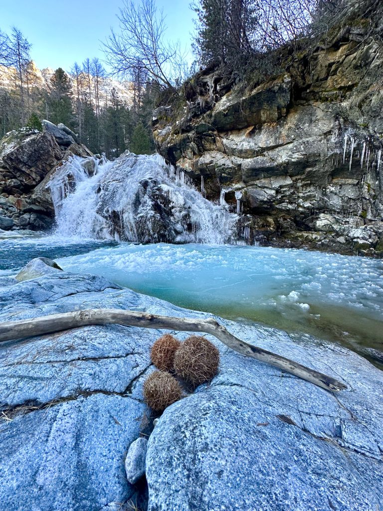 906.soro-menghini-IMG_2228.jpg Res 6272 1b24a5bbb940ee1c01679991c91831b0