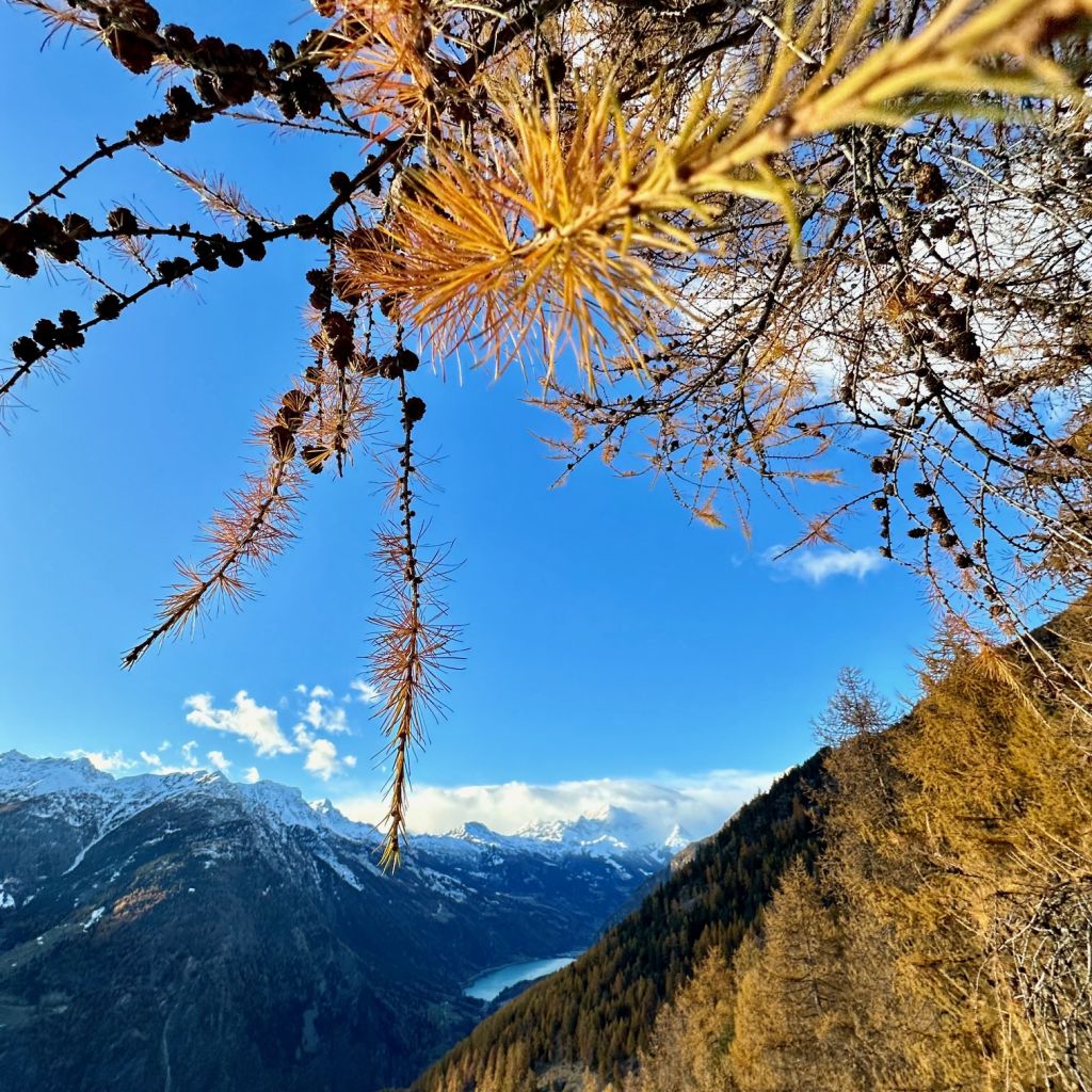 911.soro-menghini-IMG_1850.jpg Res 6272 2020fdc26ad9a0404aab531d46f5d5d3