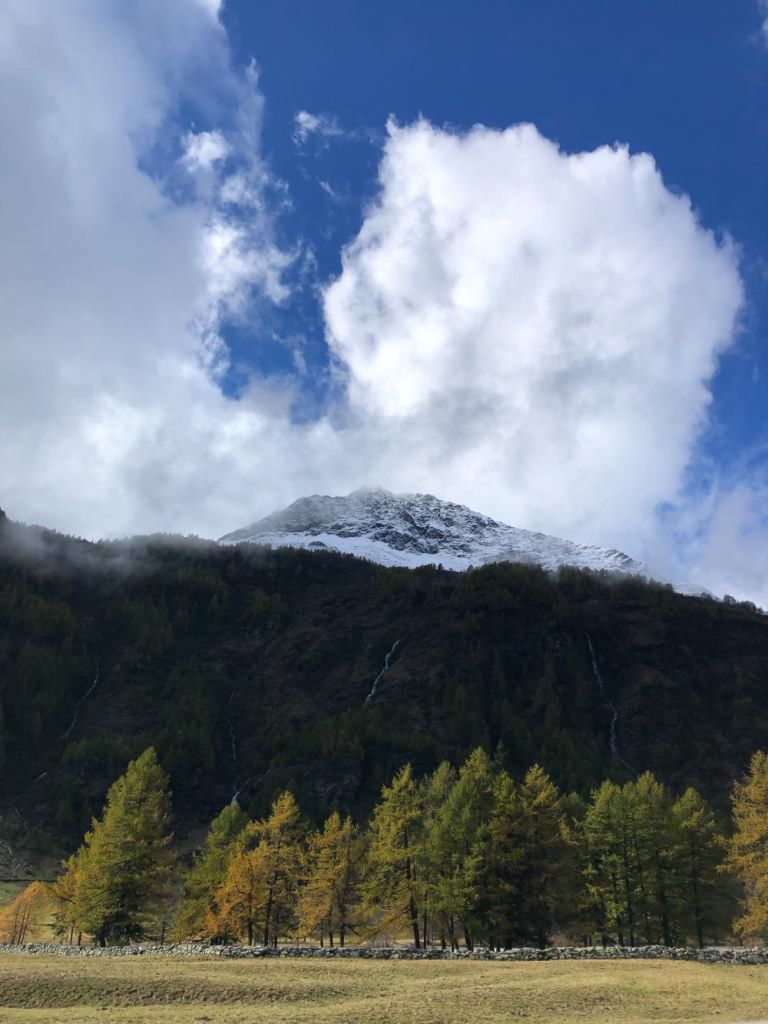 964.francesca-paganini-20231022-WA0007.jpg Res 6272 20273967cca2e36bf9d23c03156c5b68