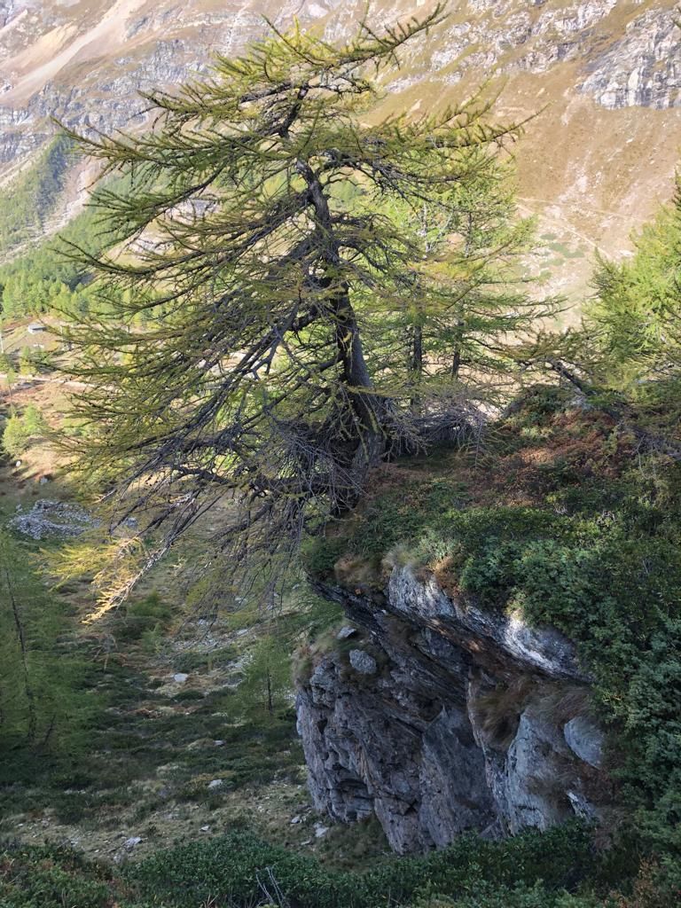 Francesca-Paganin-20231008-WA0002.jpg Res 6272 29fd13102b612e3d5605f4f3c46c5618