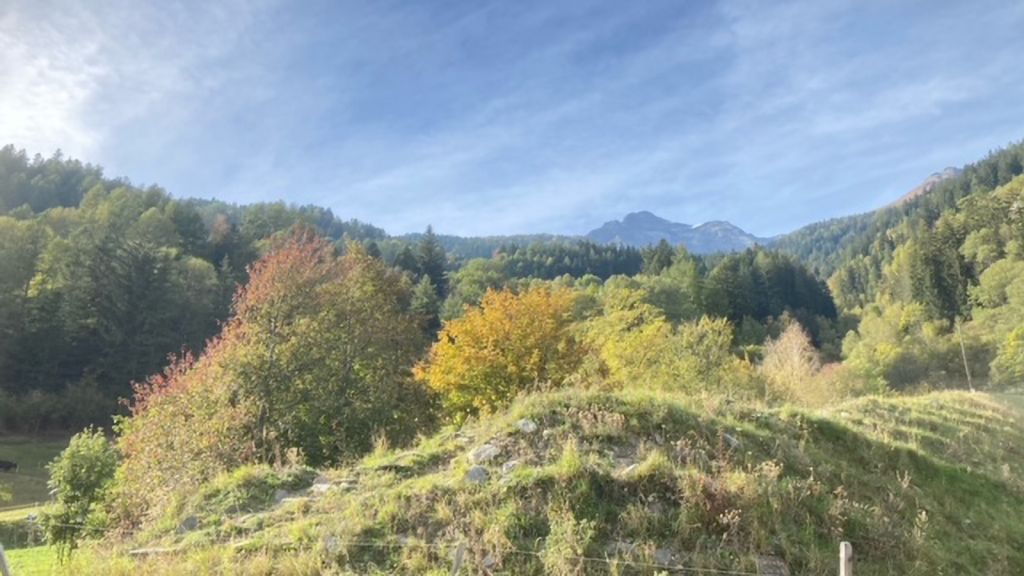 969.Samanthaimage2.jpeg Res 6272 2e3b8517064bd877cf3af5b4ea19ec53