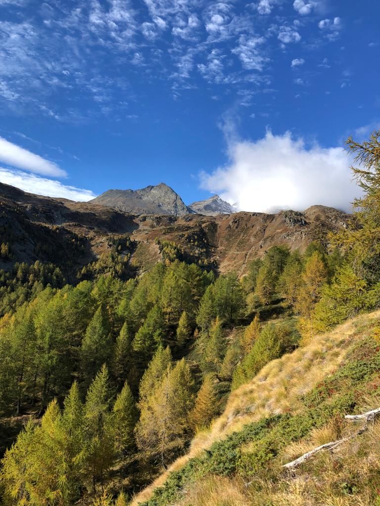 Francesca-paganini-20231015-WA0003.jpg Res 6272 313ea7461e452a987859df3262bc59ce